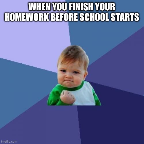 HURRAY! | WHEN YOU FINISH YOUR HOMEWORK BEFORE SCHOOL STARTS | image tagged in memes,success kid,schools,homework | made w/ Imgflip meme maker