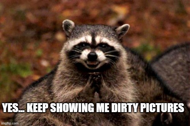 Evil Plotting Raccoon Meme Imgflip