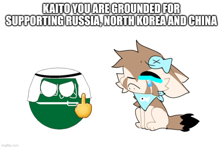 Kaito from budsforbuddies gets grounded by saudi arabia countryballs | KAITO YOU ARE GROUNDED FOR SUPPORTING RUSSIA, NORTH KOREA AND CHINA | image tagged in gacha,polandball,polandballs,saudi arabia,sigma,saudi arabiaball hates kaito budsforbuddies | made w/ Imgflip meme maker