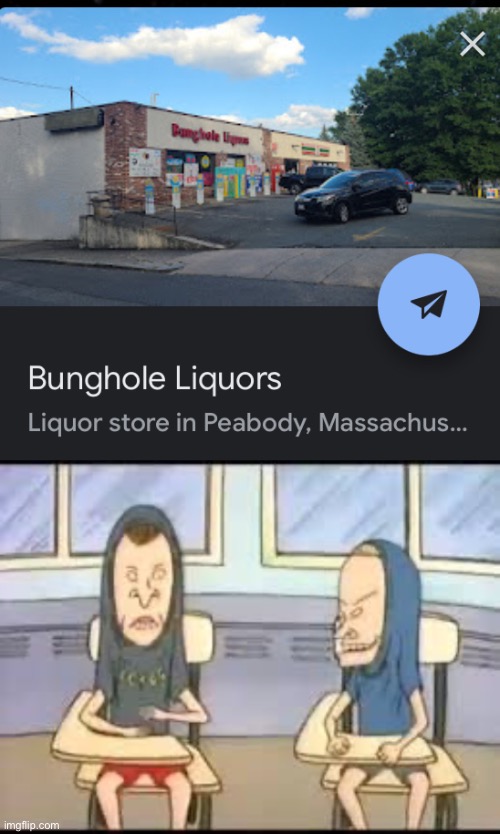 Cornholio has no bunghole | image tagged in beavis and butthead,beavis,90s,google earth | made w/ Imgflip meme maker