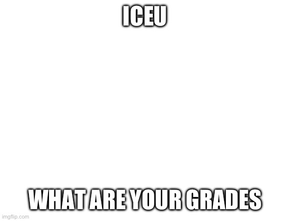 ICEU; WHAT ARE YOUR GRADES | made w/ Imgflip meme maker