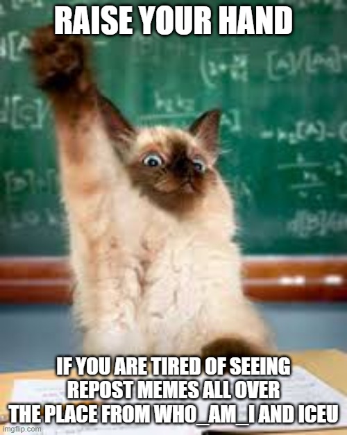 Raised hand cat | RAISE YOUR HAND; IF YOU ARE TIRED OF SEEING REPOST MEMES ALL OVER THE PLACE FROM WHO_AM_I AND ICEU | image tagged in raised hand cat | made w/ Imgflip meme maker