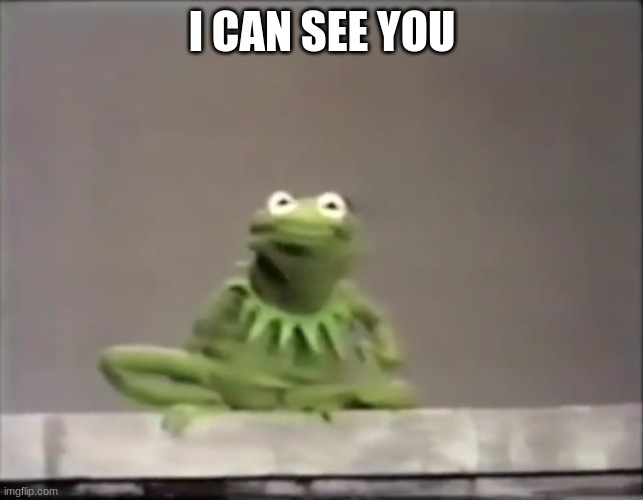 I CAN SEE YOU | I CAN SEE YOU | image tagged in kermit the frog | made w/ Imgflip meme maker