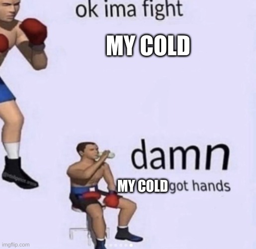 basically whats goin on rn | MY COLD; MY COLD | image tagged in damn got hands,cold,sickness | made w/ Imgflip meme maker