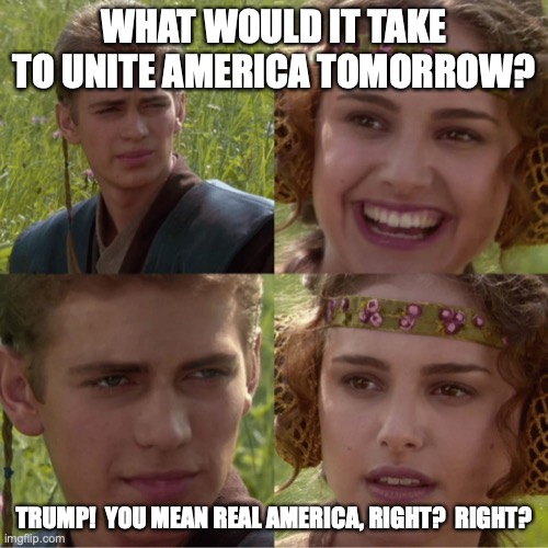 Trump Unites America | WHAT WOULD IT TAKE TO UNITE AMERICA TOMORROW? TRUMP!  YOU MEAN REAL AMERICA, RIGHT?  RIGHT? | image tagged in donald trump,star wars | made w/ Imgflip meme maker