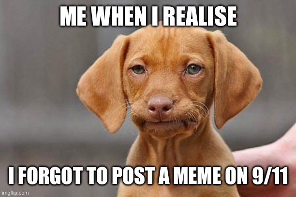 Im gonna spam post memes next year on 9/11 tho | ME WHEN I REALISE; I FORGOT TO POST A MEME ON 9/11 | image tagged in dissapointed puppy,911,funny,funny memes,memes,animals | made w/ Imgflip meme maker