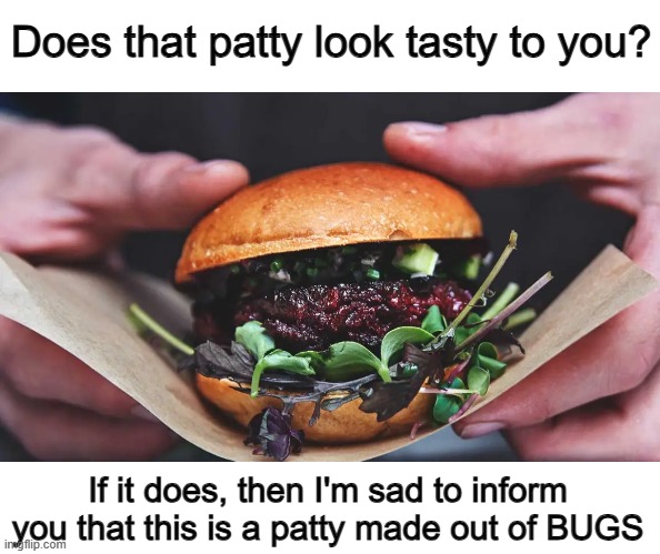 The burger already looks mid tho ._. | Does that patty look tasty to you? If it does, then I'm sad to inform you that this is a patty made out of BUGS | made w/ Imgflip meme maker
