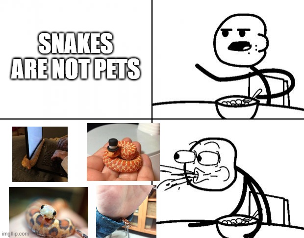 Blank Cereal Guy | SNAKES ARE NOT PETS | image tagged in blank cereal guy,snake,snakes,pets | made w/ Imgflip meme maker