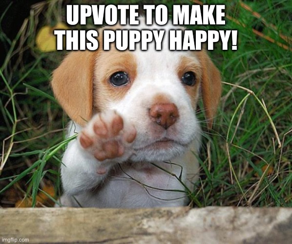 dog puppy bye | UPVOTE TO MAKE THIS PUPPY HAPPY! | image tagged in dog puppy bye | made w/ Imgflip meme maker