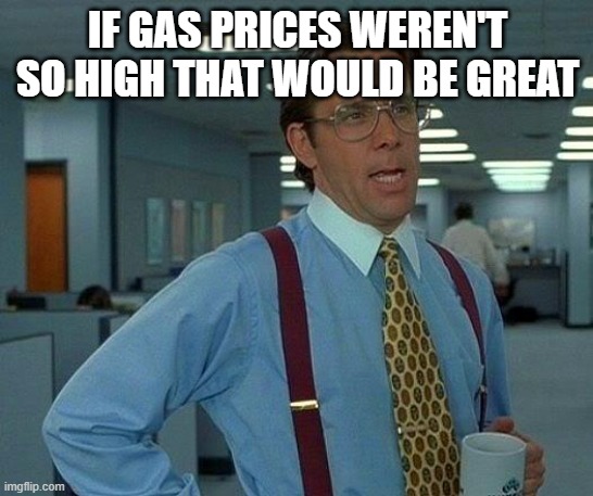 free Himbasha | IF GAS PRICES WEREN'T SO HIGH THAT WOULD BE GREAT | image tagged in memes,that would be great | made w/ Imgflip meme maker