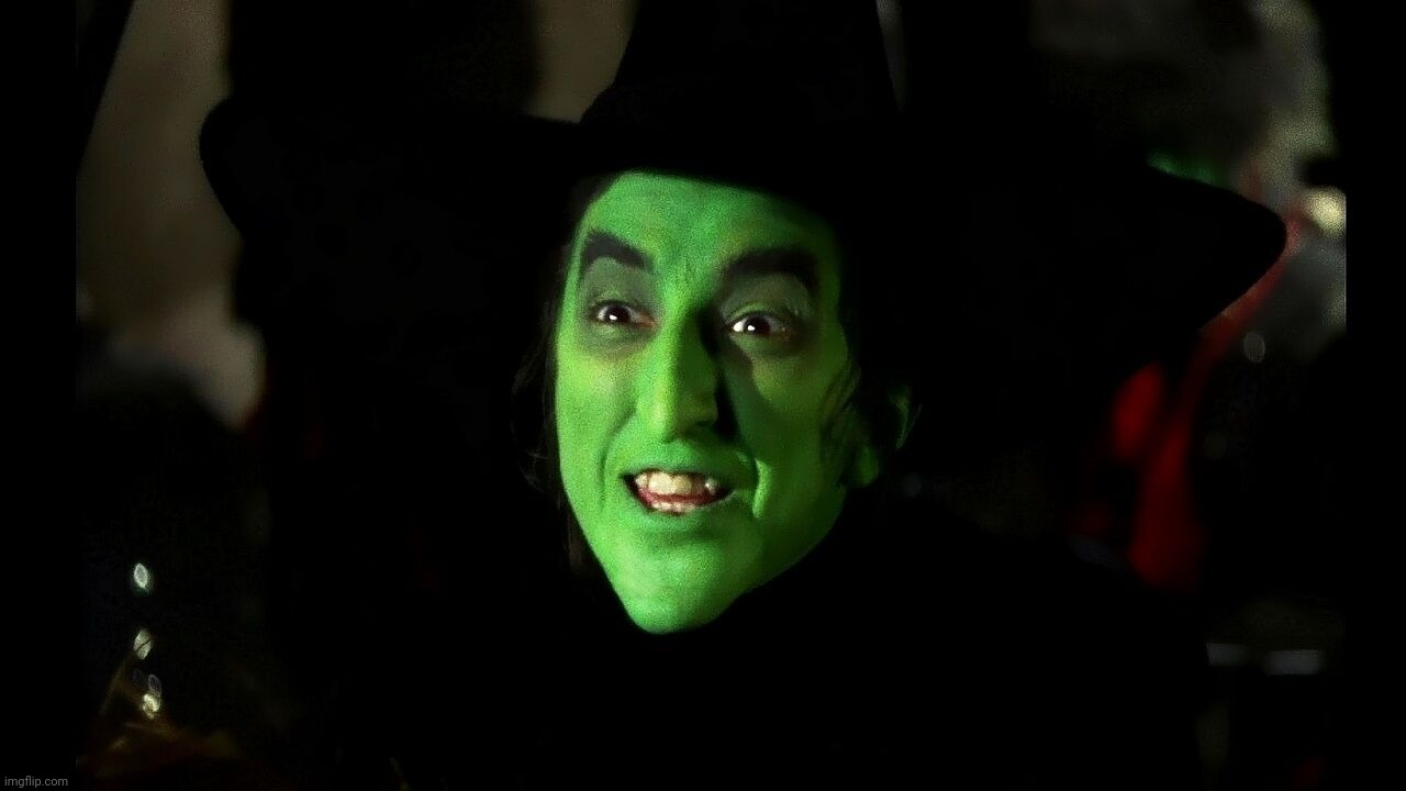 image tagged in the wicked witch of the west,the wizard of oz,witch | made w/ Imgflip meme maker