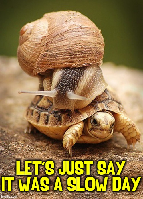 One of those Days the Never End | LET'S JUST SAY:
IT WAS A SLOW DAY | image tagged in vince vance,turtles,snails,memes,funny animals,slowest things | made w/ Imgflip meme maker
