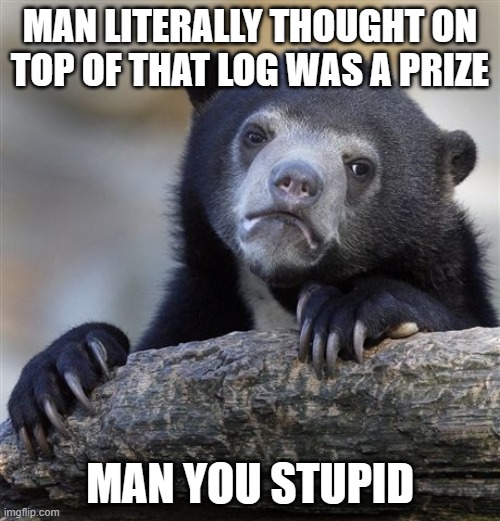 Confession Bear | MAN LITERALLY THOUGHT ON TOP OF THAT LOG WAS A PRIZE; MAN YOU STUPID | image tagged in memes,confession bear | made w/ Imgflip meme maker