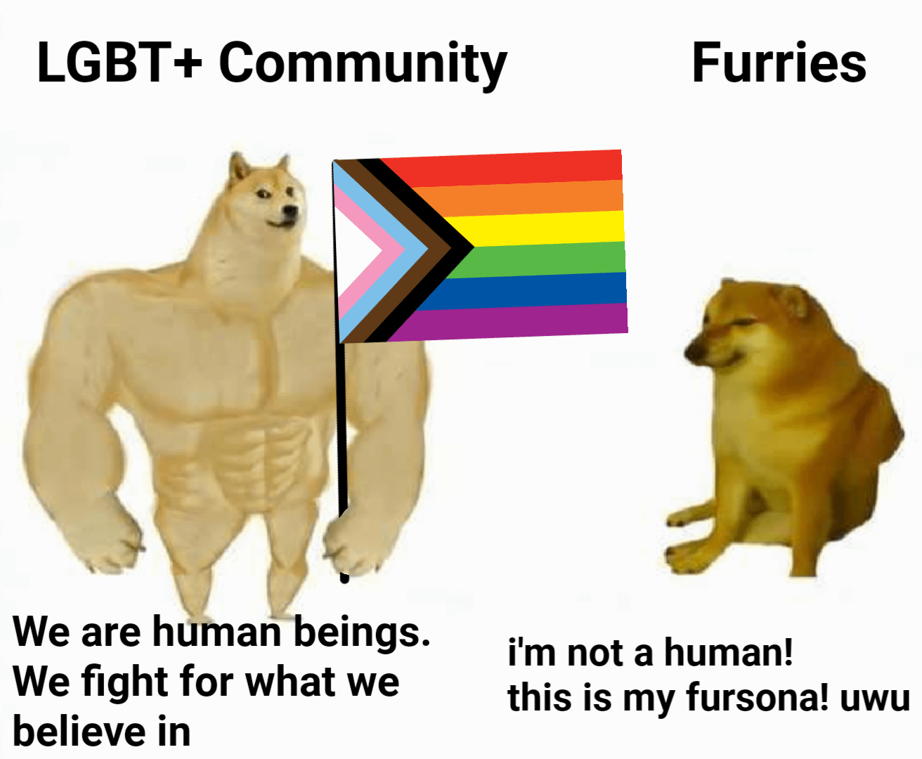 Anti Furry Blank Template Imgflip