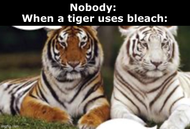 Oh no- | Nobody: 
When a tiger uses bleach: | image tagged in memes,tiger | made w/ Imgflip meme maker