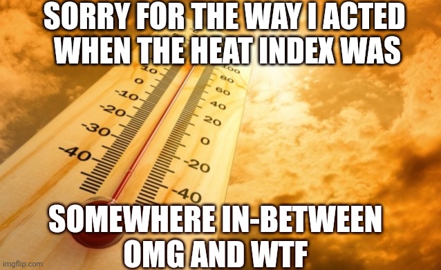 Apologies | SORRY FOR THE WAY I ACTED 
WHEN THE HEAT INDEX WAS; SOMEWHERE IN-BETWEEN 
OMG AND WTF | image tagged in summer heat,sorry | made w/ Imgflip meme maker