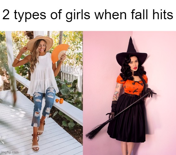 2 Types of Basic | 2 types of girls when fall hits | image tagged in memes,funny,fall,girl,basic | made w/ Imgflip meme maker