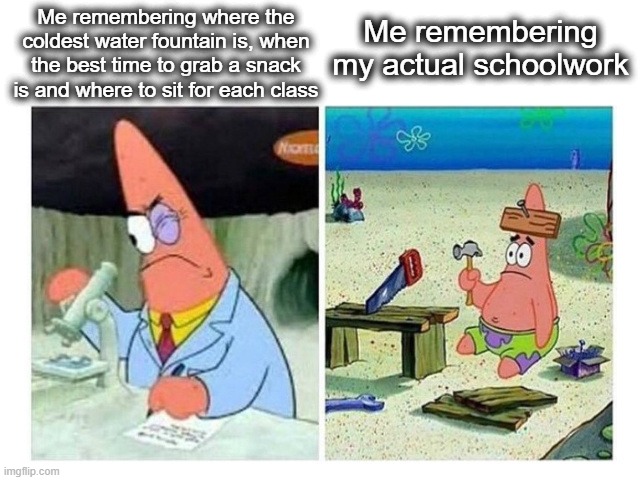 Real | Me remembering where the coldest water fountain is, when the best time to grab a snack is and where to sit for each class; Me remembering my actual schoolwork | image tagged in patrick scientist vs nail,remember,school,patrick,patrick smart dumb,lol | made w/ Imgflip meme maker