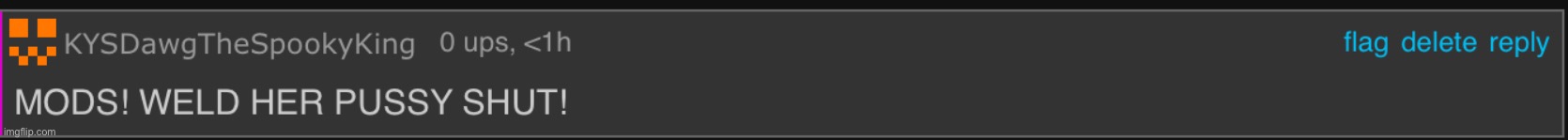 MODS WELD HER PUSSY SHUT Imgflip