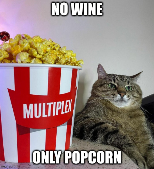 No wine. Only popcorn | NO WINE; ONLY POPCORN | image tagged in stepan cat,wine,popcorn,film | made w/ Imgflip meme maker