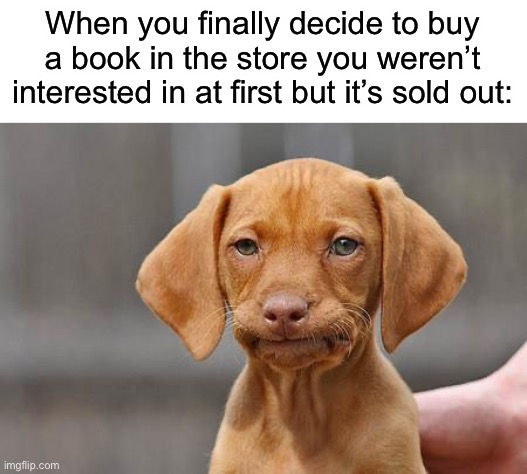 This happened to me with a Pokémon encyclopaedia once | When you finally decide to buy a book in the store you weren’t interested in at first but it’s sold out: | image tagged in dissapointed puppy | made w/ Imgflip meme maker