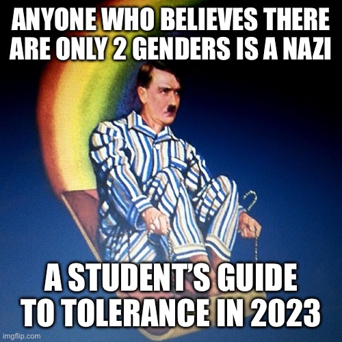 Bedtime Hitler Blank | ANYONE WHO BELIEVES THERE ARE ONLY 2 GENDERS IS A NAZI; A STUDENT’S GUIDE TO TOLERANCE IN 2023 | image tagged in bedtime hitler blank | made w/ Imgflip meme maker