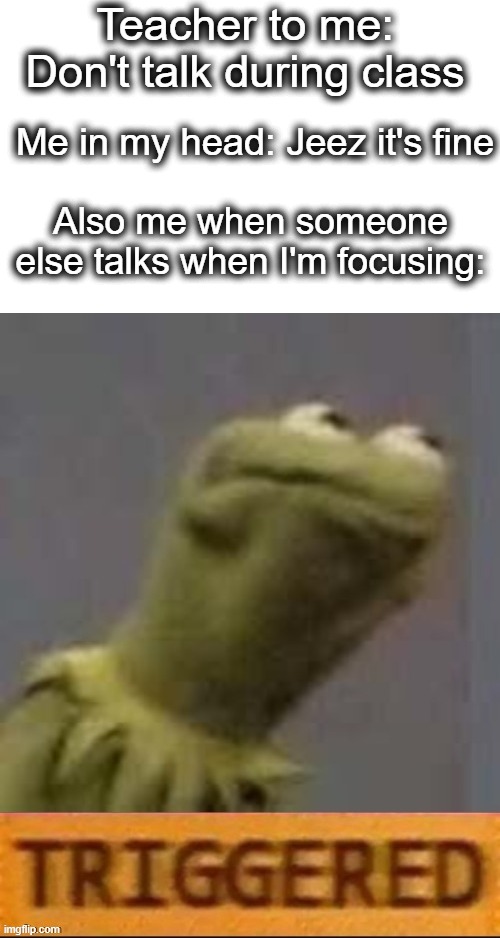 oh, how the tables have turned... | Teacher to me: Don't talk during class; Me in my head: Jeez it's fine; Also me when someone else talks when I'm focusing: | image tagged in kermit triggered,triggered,teacher,school,talk,class | made w/ Imgflip meme maker