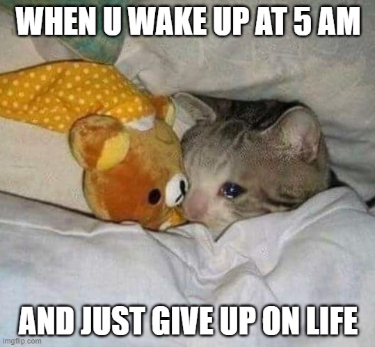sad | WHEN U WAKE UP AT 5 AM; AND JUST GIVE UP ON LIFE | image tagged in crying cat,sad cat,sad but true | made w/ Imgflip meme maker
