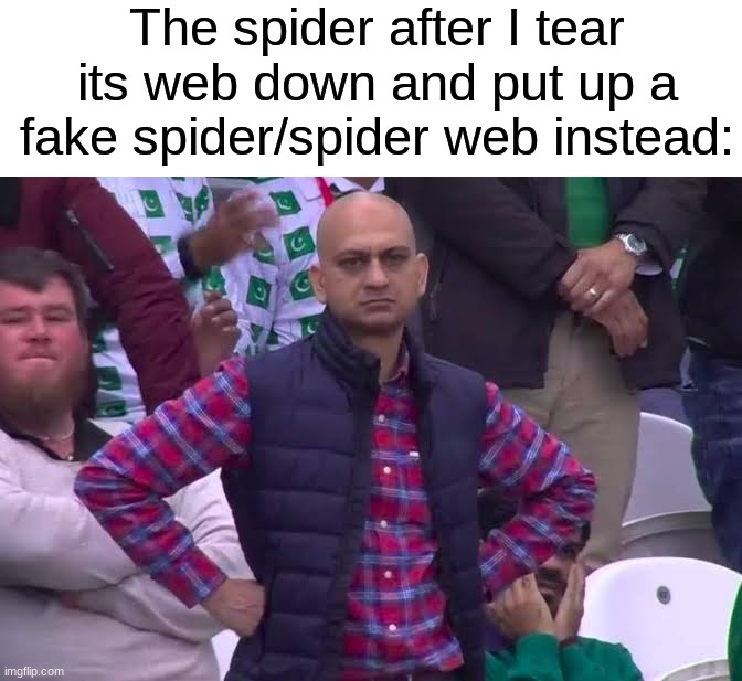 Poor spider lmao | The spider after I tear its web down and put up a fake spider/spider web instead: | image tagged in disappointed man,memes,funny,halloween,spooky month,decorations | made w/ Imgflip meme maker