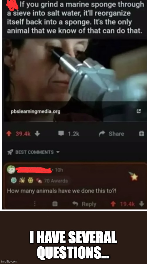 Animal abuse? | I HAVE SEVERAL QUESTIONS... | image tagged in animals,science,i have several questions | made w/ Imgflip meme maker