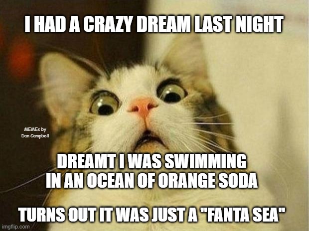 Scared Cat | I HAD A CRAZY DREAM LAST NIGHT; MEMEs by Dan Campbell; DREAMT I WAS SWIMMING IN AN OCEAN OF ORANGE SODA; TURNS OUT IT WAS JUST A "FANTA SEA" | image tagged in memes,scared cat | made w/ Imgflip meme maker