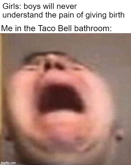 *Screaming Intestifies* | Girls: boys will never understand the pain of giving birth; Me in the Taco Bell bathroom: | image tagged in memes,poop,taco bell,tacos | made w/ Imgflip meme maker