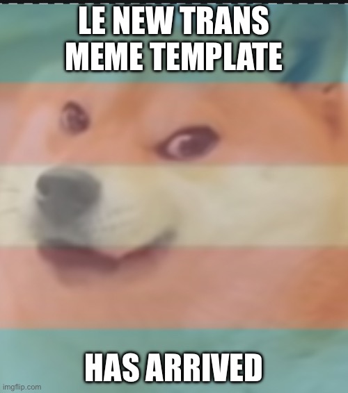 Le new trans meme template has arrived | LE NEW TRANS MEME TEMPLATE; HAS ARRIVED | image tagged in trans doge | made w/ Imgflip meme maker