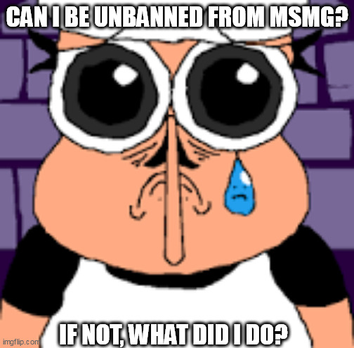 Sad Peppino | CAN I BE UNBANNED FROM MSMG? IF NOT, WHAT DID I DO? | image tagged in sad peppino | made w/ Imgflip meme maker