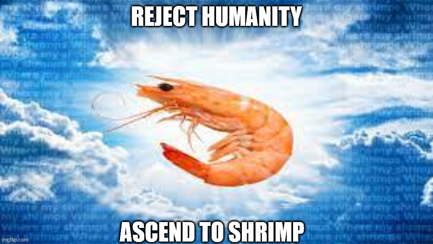 Holy Shrimp | REJECT HUMANITY; ASCEND TO SHRIMP | image tagged in ascend,shrimp,reject,humanity | made w/ Imgflip meme maker
