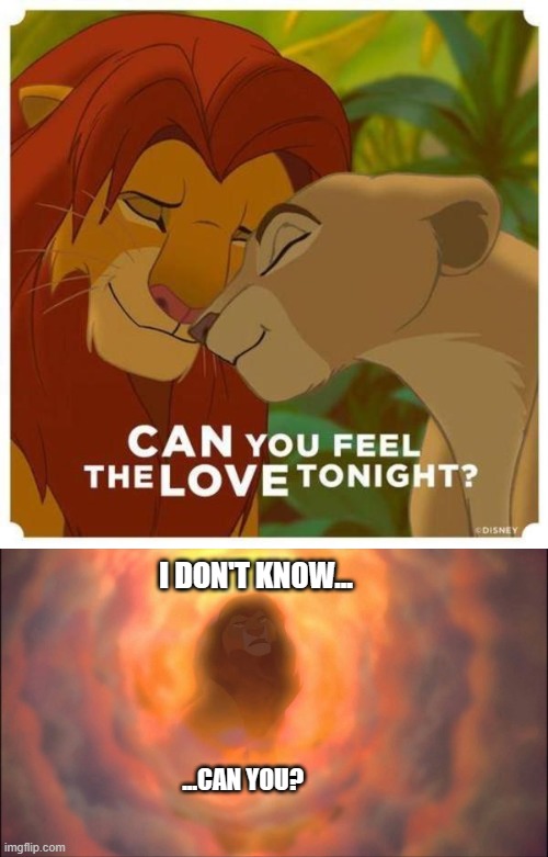 Can You? | I DON'T KNOW... ...CAN YOU? | image tagged in the lion king,lion king,lion king meme,simba,nala,dad joke | made w/ Imgflip meme maker