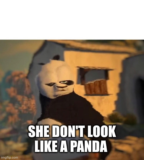 Drunk Kung Fu Panda | SHE DON'T LOOK LIKE A PANDA | image tagged in drunk kung fu panda | made w/ Imgflip meme maker