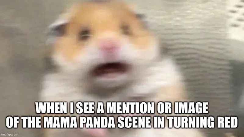 When I see Mama Panda | WHEN I SEE A MENTION OR IMAGE OF THE MAMA PANDA SCENE IN TURNING RED | image tagged in turning red,pixar,relatable | made w/ Imgflip meme maker