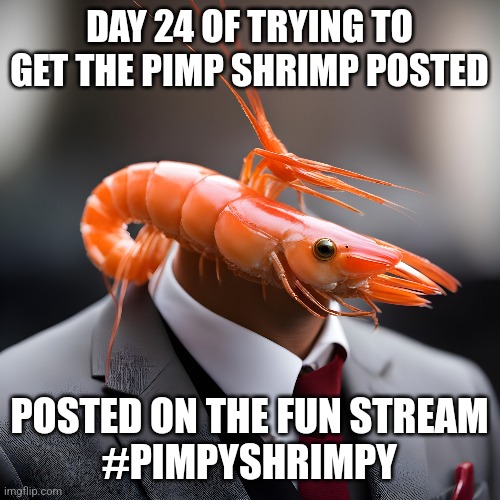 THE PIMP SHRIMP WILL BE KNOWN | DAY 24 OF TRYING TO GET THE PIMP SHRIMP POSTED; POSTED ON THE FUN STREAM
#PIMPYSHRIMPY | image tagged in shrimp,memes,funny | made w/ Imgflip meme maker
