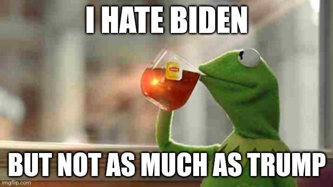 Go on, comment. it will only give me points | I HATE BIDEN; BUT NOT AS MUCH AS TRUMP | image tagged in kermit sipping tea | made w/ Imgflip meme maker