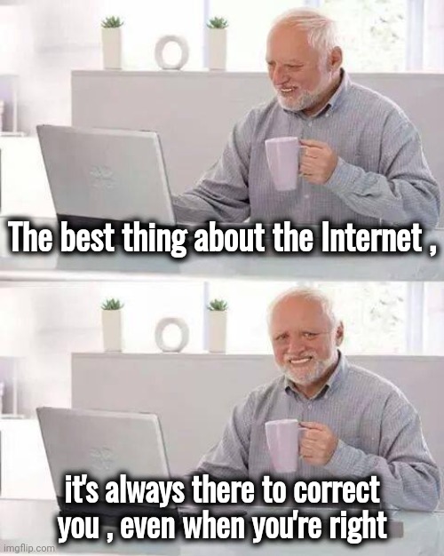 I might be a Robot | The best thing about the Internet , it's always there to correct you , even when you're right | image tagged in memes,hide the pain harold,captcha,help i accidentally,are you challenging me,not a repost | made w/ Imgflip meme maker