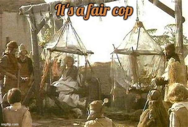 Fair Cop | It's a fair cop | image tagged in monty python and the holy grail,monty python,witch,science,duck | made w/ Imgflip meme maker