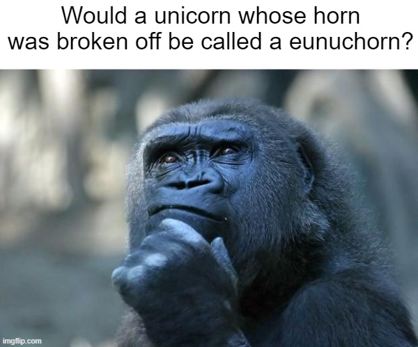 These are the kind of thoughts that kept me out of the really good schools. | Would a unicorn whose horn was broken off be called a eunuchorn? | image tagged in deep thoughts,unicorn,eunuch | made w/ Imgflip meme maker