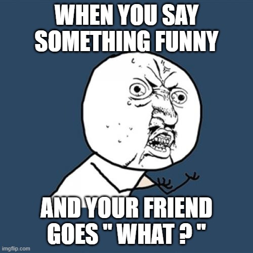 MEME 1 | WHEN YOU SAY SOMETHING FUNNY; AND YOUR FRIEND GOES " WHAT ? " | image tagged in memes,y u no | made w/ Imgflip meme maker