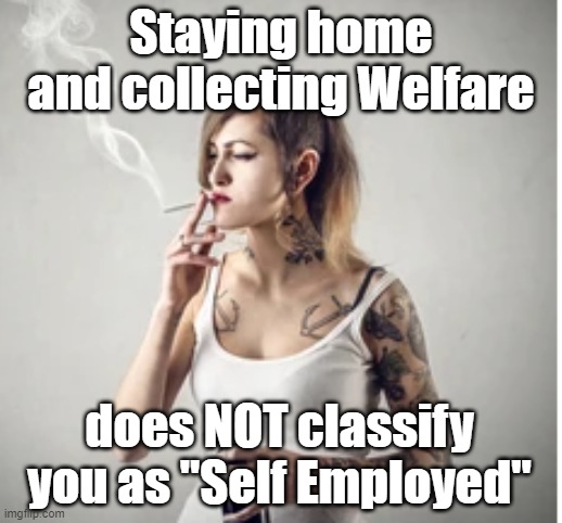 Staying home and collecting Welfare; does NOT classify you as "Self Employed" | image tagged in welfare,scumbag | made w/ Imgflip meme maker