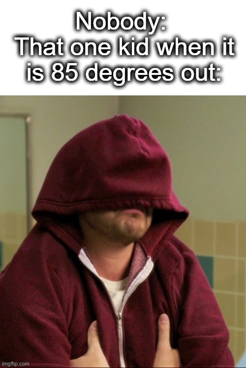(FAHRENHEIT) we all have this one kid... | Nobody: 
That one kid when it is 85 degrees out: | image tagged in nick miller sweatshirt,hot,cold,clothing,joseph stalin,cold weather | made w/ Imgflip meme maker