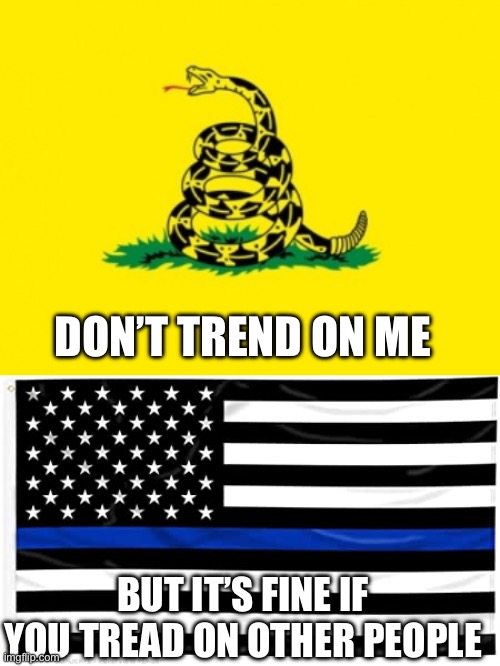 BUT IT’S FINE IF YOU TREAD ON OTHER PEOPLE DON’T TREND ON ME | image tagged in gadsden flag,thin blue line | made w/ Imgflip meme maker