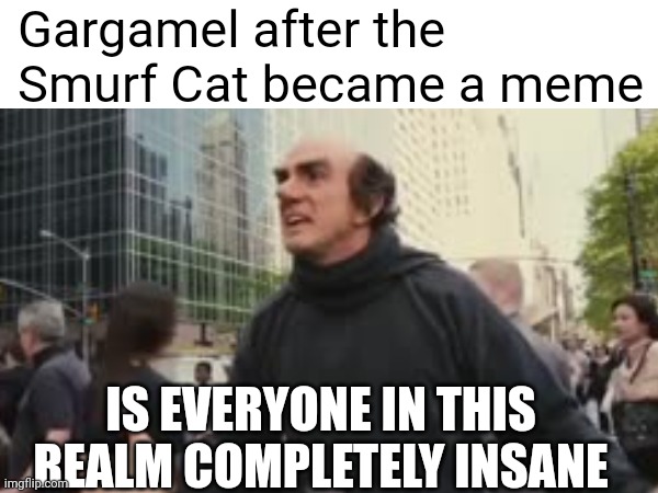 We live. We love. We lie. SMURF CAT | Gargamel after the Smurf Cat became a meme; IS EVERYONE IN THIS REALM COMPLETELY INSANE | image tagged in smurfs,smurf | made w/ Imgflip meme maker