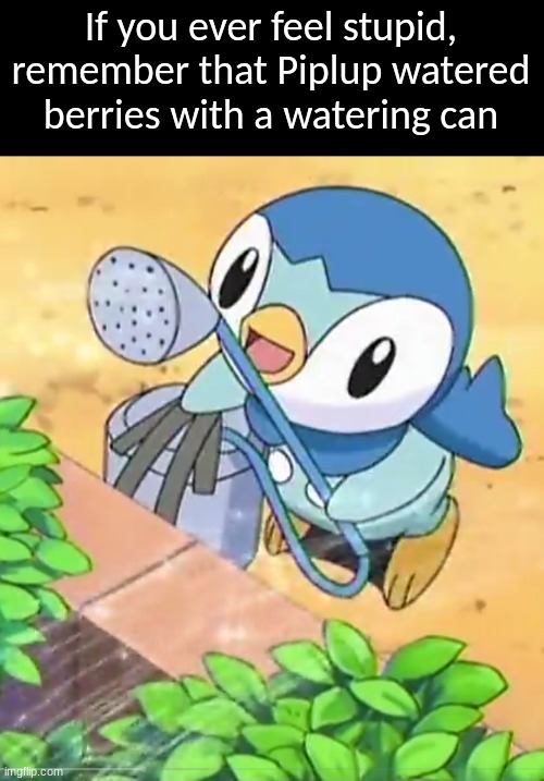 Pokemon inspiration | If you ever feel stupid, remember that Piplup watered berries with a watering can | image tagged in memes,funny,anime,pokemon,inspiration | made w/ Imgflip meme maker