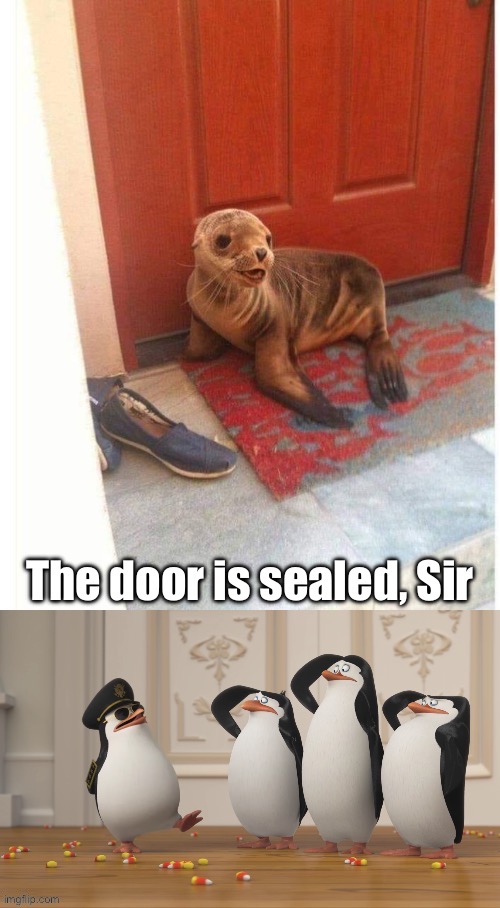 Sealed the door, Sir | image tagged in good soldiers follow orders,bad pun,penguins | made w/ Imgflip meme maker